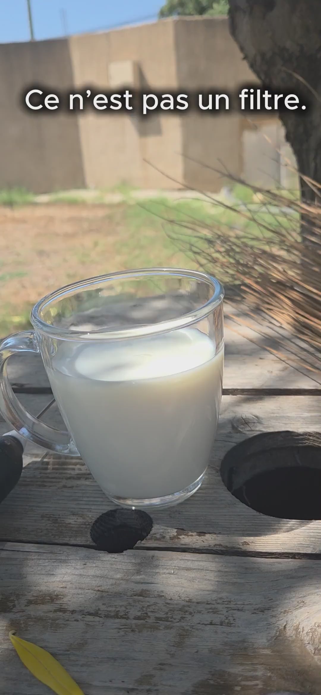 Charger la vidéo : Préparation d’un Ube Latte violet avec la poudre d’Ube Détente Maison